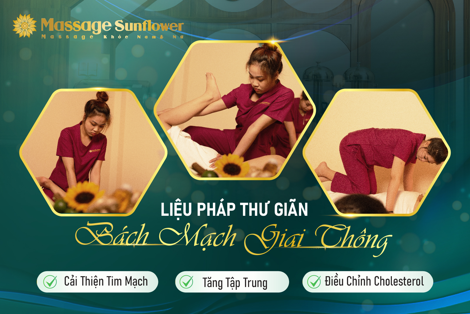 bach mach giai thong sunflower