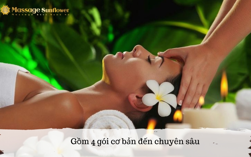 Gồm 4 gói từ cơ bản đến nâng cao