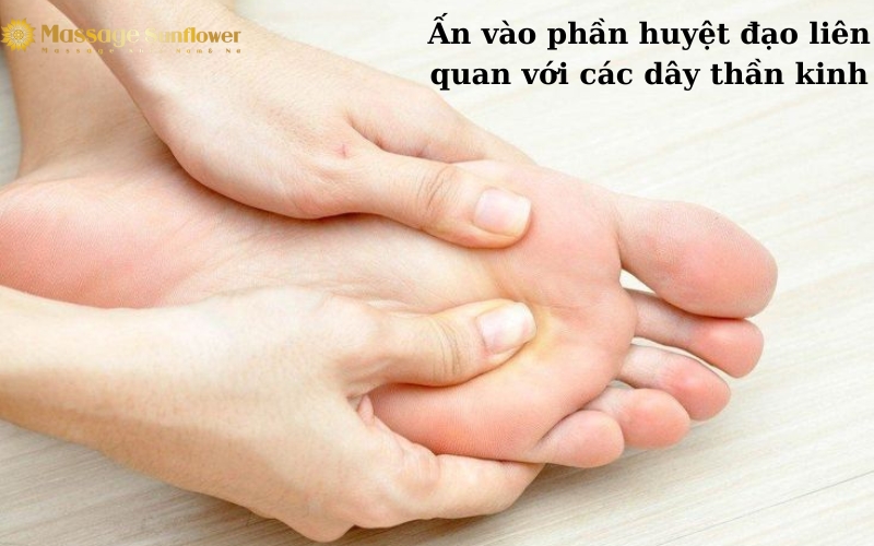 Ấn vào phần huyệt đạo liên quan với các dây thần kinh