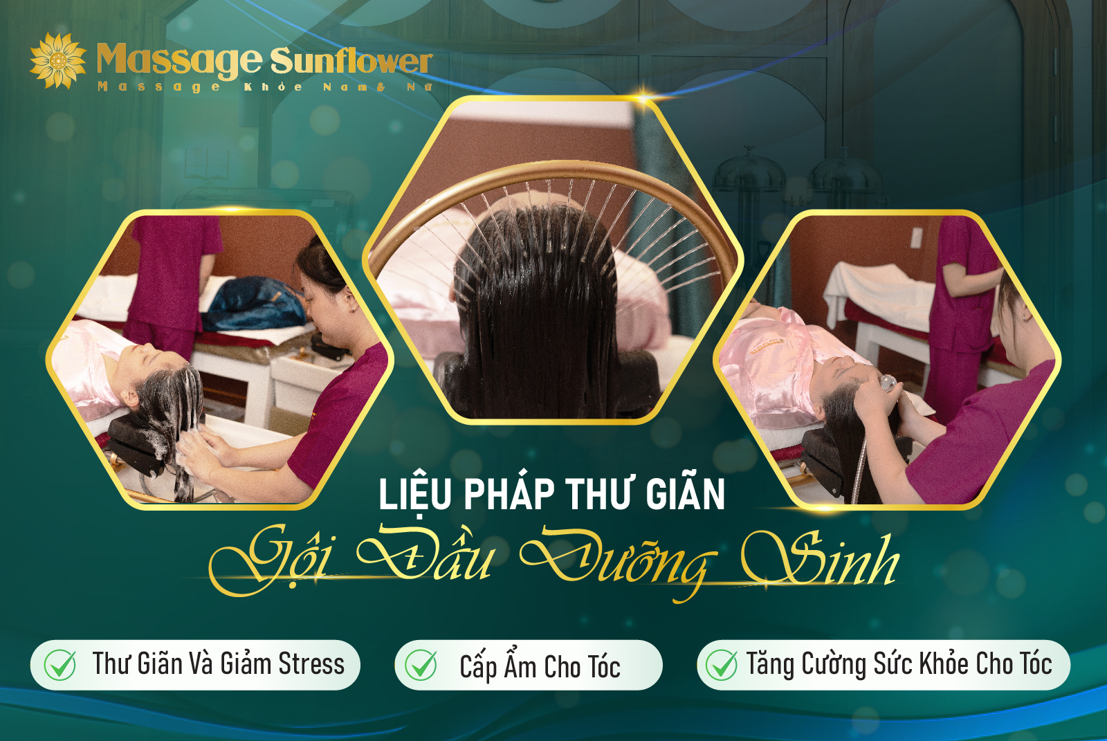 Gội đầu dưỡng sinh