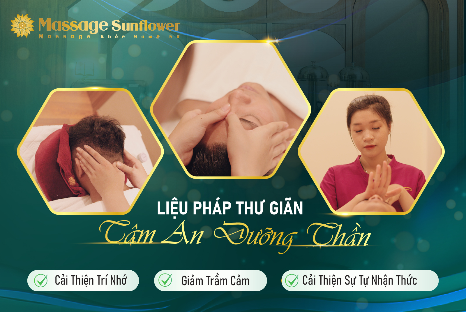 tam an duong than sunflower