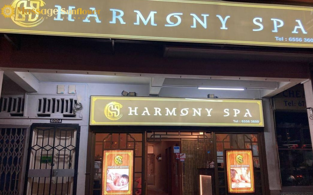 Harmony Spa cung cấp nhiều dịch vụ chăm sóc sức khỏe và sắc đẹp