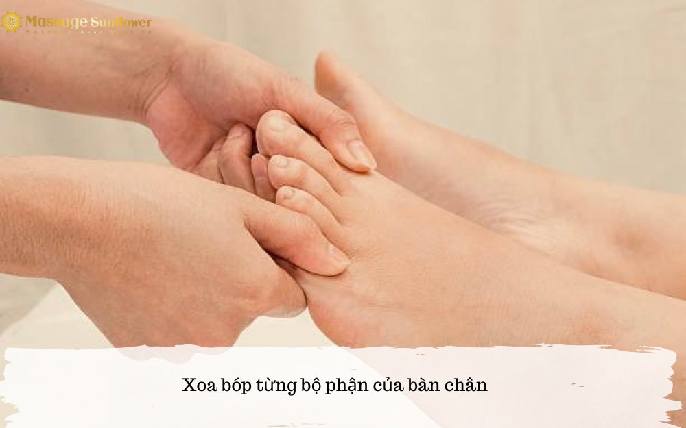 xoa bop tung bo phan o ban chan dung cach