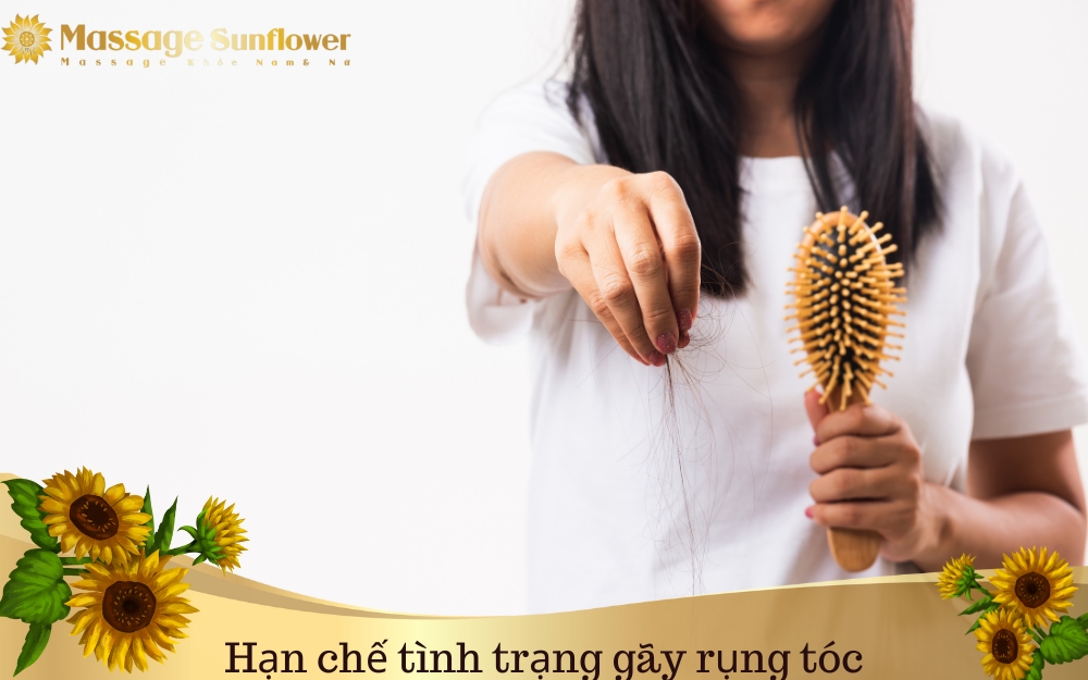 Lợi ích của bồ kết trong tình trạng gãy rụng tóc