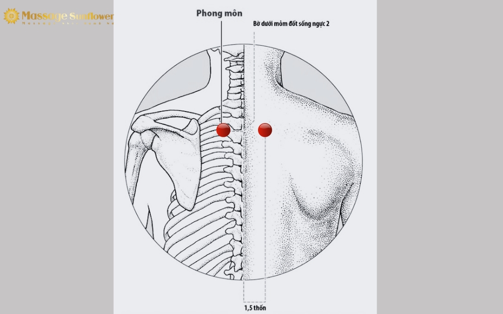 Co tay lại thành nắm đấm ấn xoay theo chiều kim đồng hồ ở huyệt Phong Môn cho nam