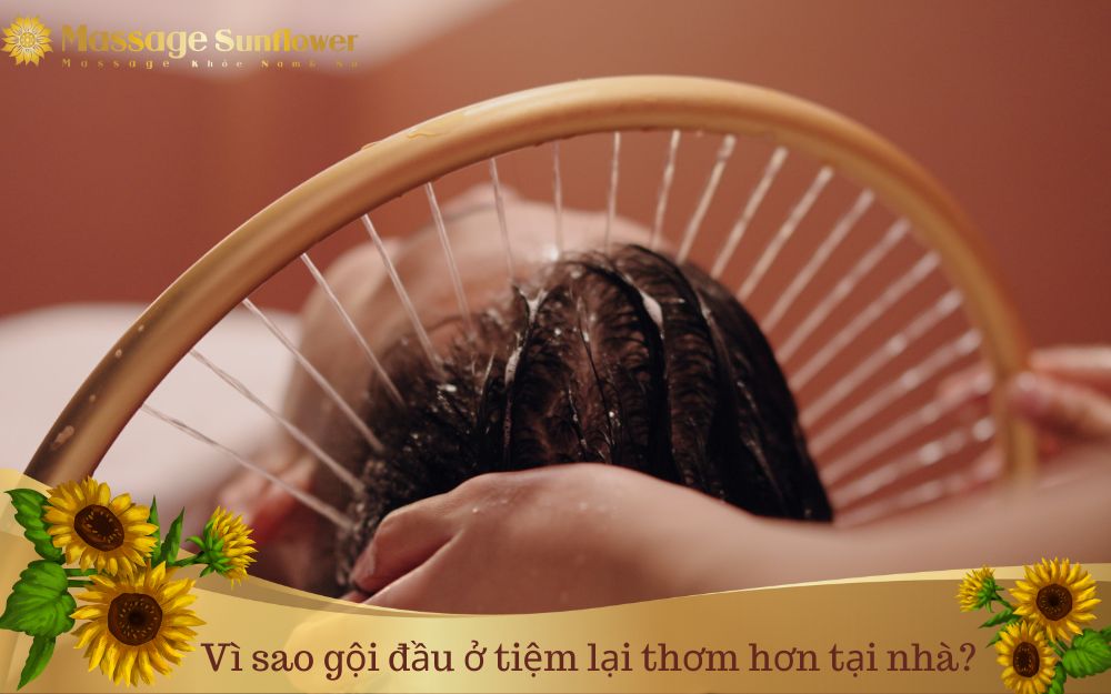 Vì sao gội đầu ở tiệm lại thơm? Cách giữ mùi thơm lâu trên tóc