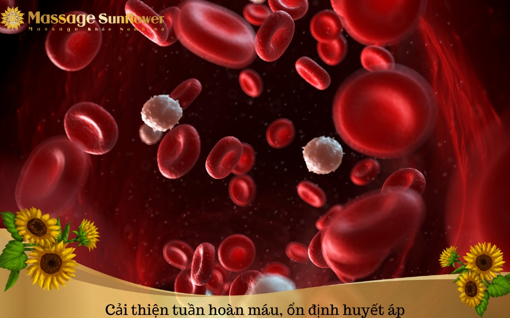 mat xa giup luu thong khi huyet